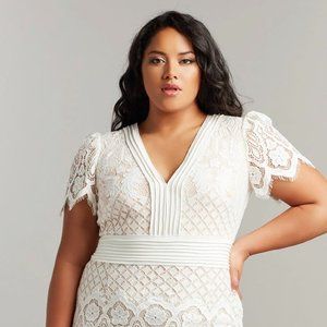 TADASHI SHOJI DUMIN LACE GOWN-PLUS SIZE